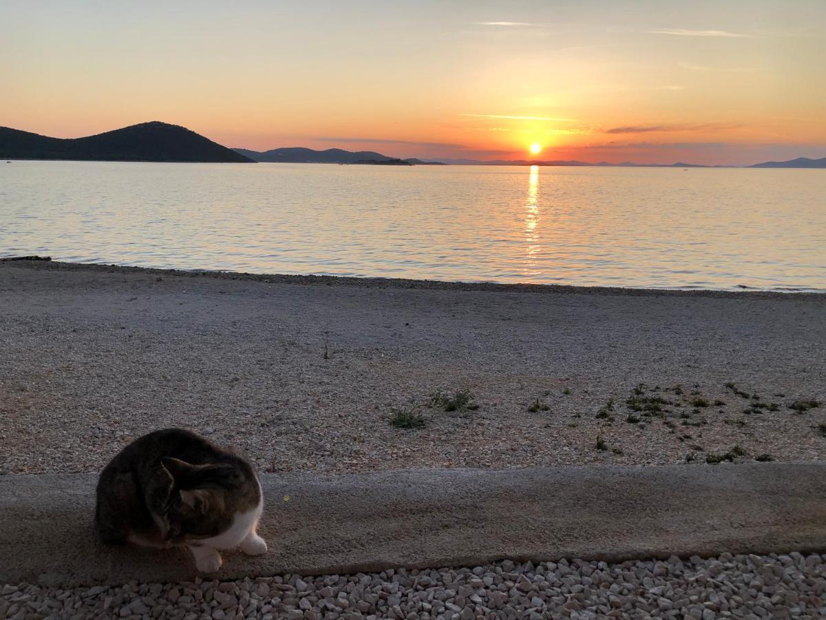 Buqez Eco Resort - Beachfront 20 & House 42 Drage Εξωτερικό φωτογραφία
